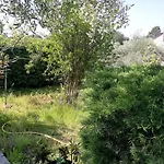 Il Melograno
