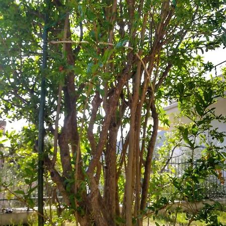 Апартаменты Il Melograno