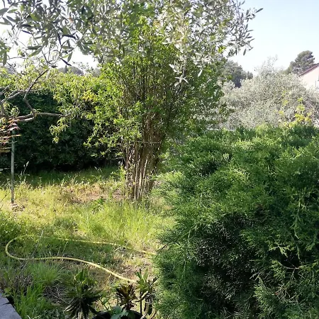 Il Melograno