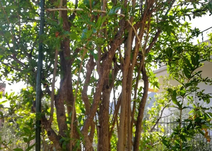 Apartman Il Melograno